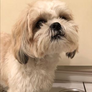 Meet your Posher, Andrea